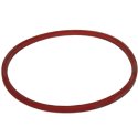 AUTOCAR SEALING RING