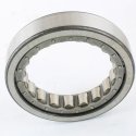 TEREX CYLINDRICAL ROLLER BEARING: 100mm OD W/OUT INNER