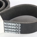 CUMMINS V-RIBBED BELT