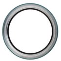 SKF OIL SEAL