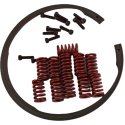 DANA BRAKE SPRING KIT