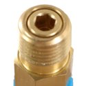 HY-LOK CHECK VALVE 1/4in MNPT BRASS