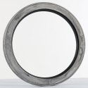 AXLETECH OIL SEAL