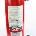 ANSUL FIRE PROTECTION AGENT TANK ASSEMBLY