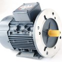 REGAL REXNORD - LEESON ELECTRIC MOTOR ELECTRIC MOTOR 1 HP 200/400//230/460V 50/60Hz D80D