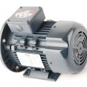 REGAL REXNORD - LEESON ELECTRIC MOTOR ELECTRIC MOTOR 1 HP 200/400//230/460V 50/60Hz D80D