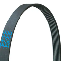 DAYCO V-RIBBED BELT