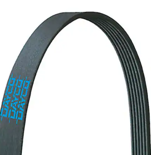 DAYCO V-RIBBED BELT