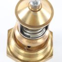 VERNATHERM THERMOSTATIC VALVE ELEMENT