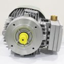 BONFIGLIOLI ELECTRIC MOTOR