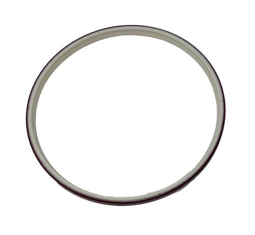 SKF SCRAPER/SEAL RING