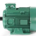 LEROY SOMER ELECTRIC MOTOR 11kW 375V 100Hz