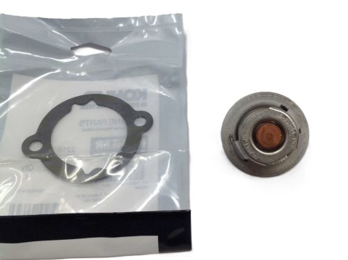 KOHLER THERMOSTAT KIT: 190°F