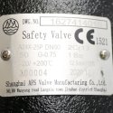 SHANGHAI AFS VALVE MANUFACTURING CO. LTD. PRESSURE RELIEF VALVE 15PSI 3in NPT 2186SCFM