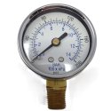 PIC GAUGES GAUGE  2\" DRY  1/4NPT BRASS LOWER  200PSI