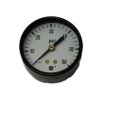 USG U.S. GAUGE GAUGE 2.0-P500 60 PSI 1/4 CBM