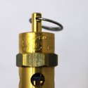 FLEXI-HINGE VALVE CO. RELIEF VALVE  1/4IN NPT  150PSI