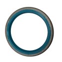 TRELLEBORG SEALING SOLUTIONS TSS SCRAPER SEAL