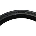 NAK SEALING TECHNOLOGIES RING OIL SEAL