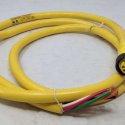 MOLEX CORDSET: TERMINAL CONN PLUG 5 POLE 6FT