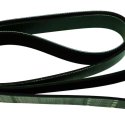 GATES SERPENTINE DRIVE BELT  STAINLESS STEEL  10PK2004