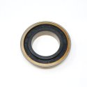 NAVISTAR SEAL/O-RING - REAR BEARING RET