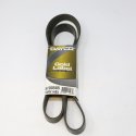 DAYCO FAN BELT