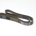 DAYCO FAN BELT