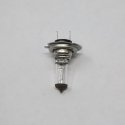 HELLA HALOGEN BULB