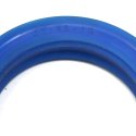 CFW PISTON ROD SEAL