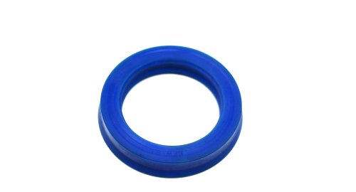 CFW PISTON ROD SEAL